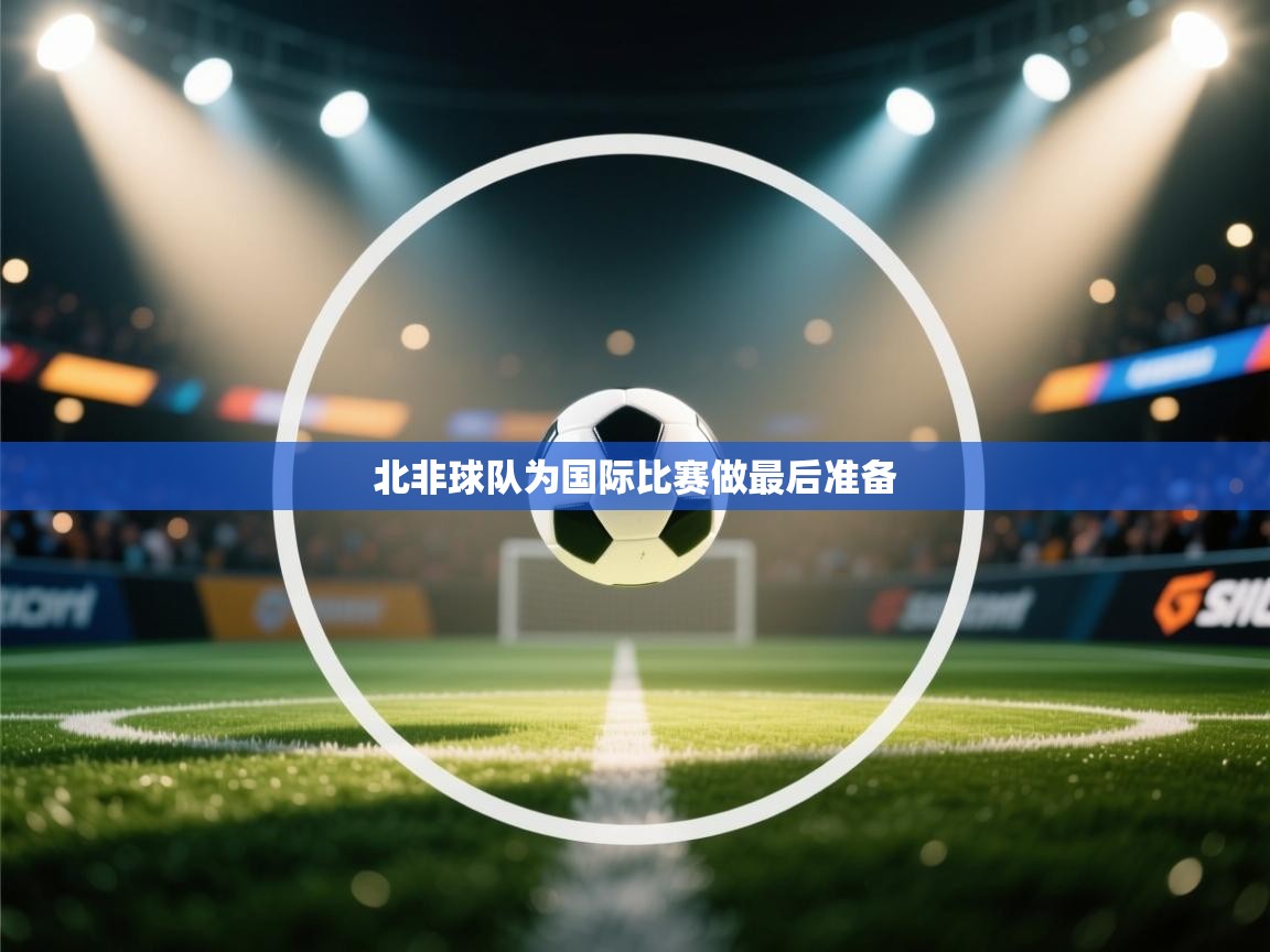 北非球队为国际比赛做最后准备  第2张