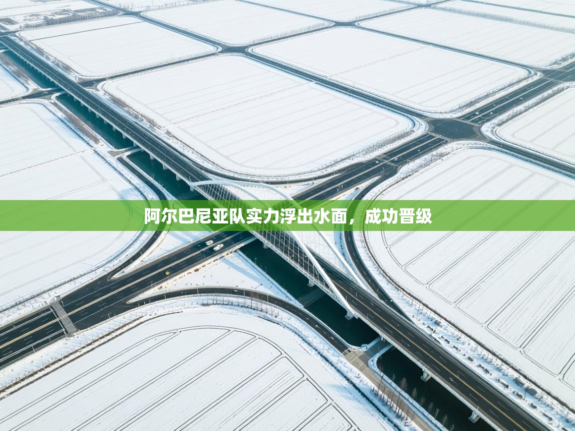 阿尔巴尼亚队实力浮出水面，成功晋级  第2张