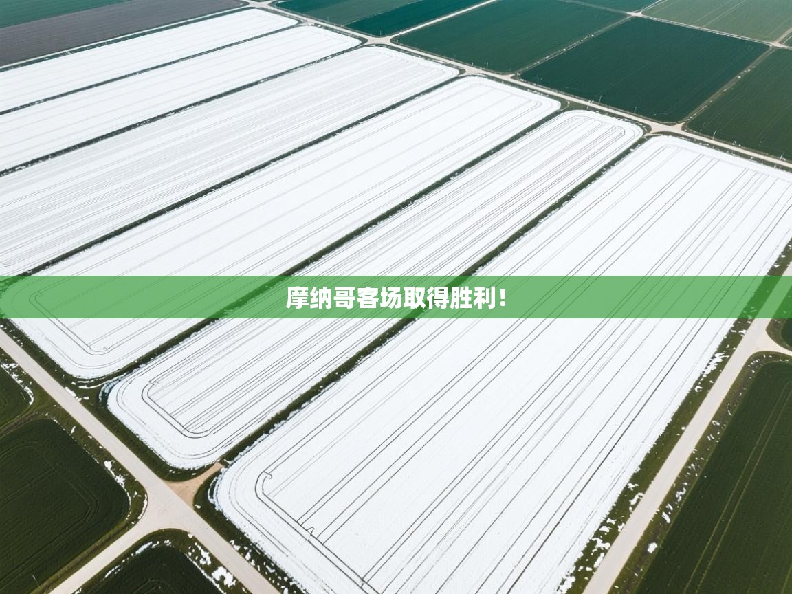 摩纳哥客场取得胜利! 第2张